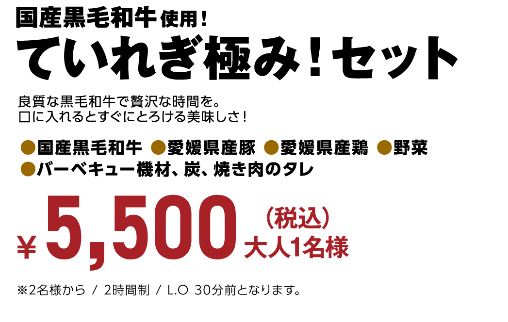 国産黒毛和牛使用！ていれぎ極み！セット