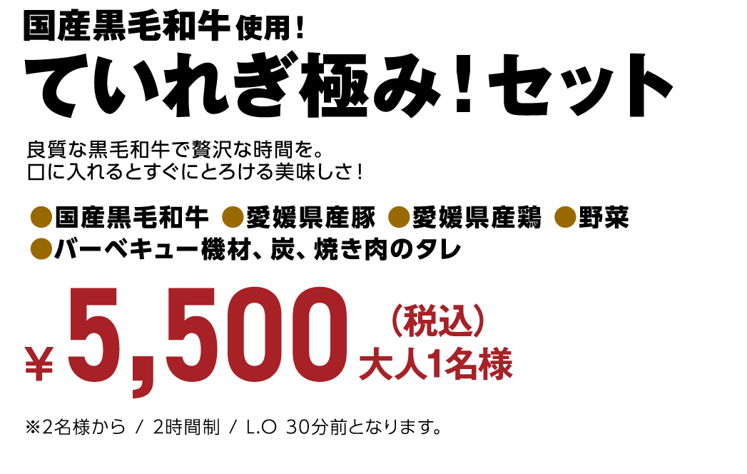 国産黒毛和牛使用!ていれぎ極み!セット